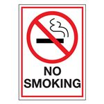 No Smoking - Decal